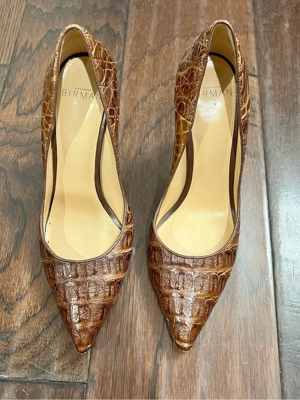 Alexandre Birman Brown Croc-Embossed Pointed Toe Stiletto Pumps